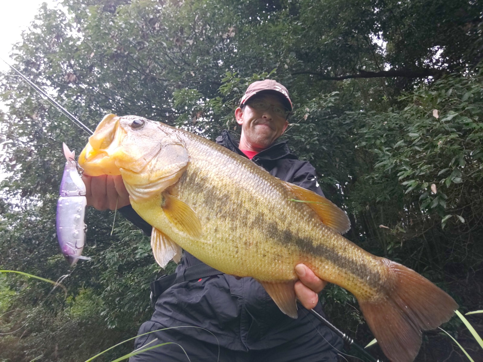 雨天の野池釣行で58cm大型ブラックバス登場【三重】ビッグベイトにヒット | TSURINEWS - Part 2