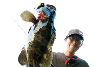 「クランクベイト」でハタ類を釣る方法【場所・ルアー・タックル・釣り方を解説】