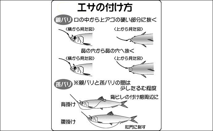 アジの泳がせ釣り仕掛け3選　エサの付け方から竿の選び方まで徹底解説