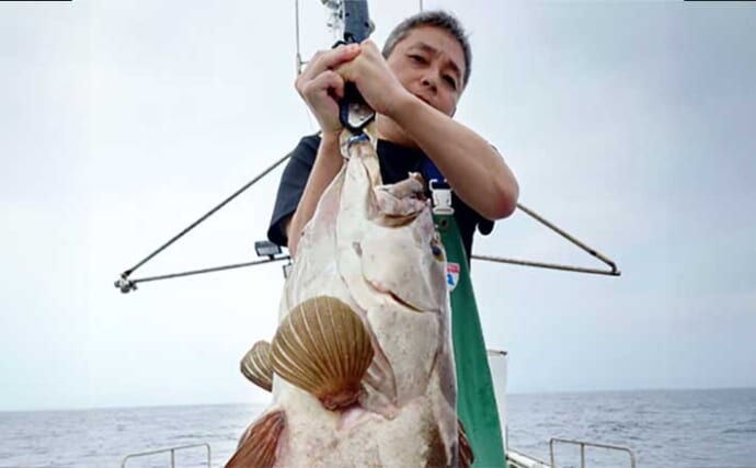 釣果速報】活きイカ泳がせ釣りで16kg大型アラ（クエ）堂々浮上《福岡