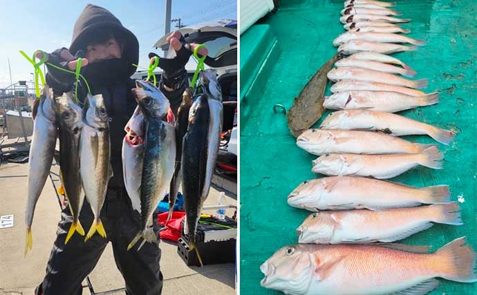 和歌山エリアの沖釣りなら『清風丸』にお任せ　大阪からのアクセスも良好