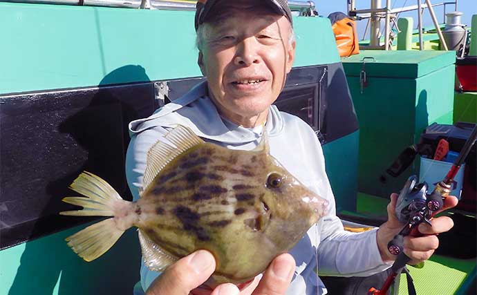 東京湾のカワハギ釣りで船中本命500尾オーバーと爆釣【千葉・吉野屋】