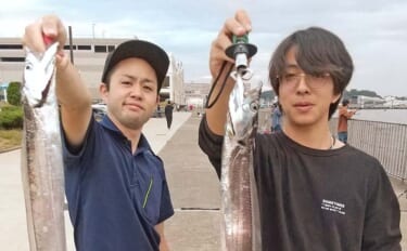 うみかぜ公園でタチウオにアジにマコガレイの釣果確認【横須賀】釣り方は色々