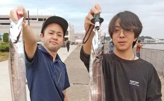 うみかぜ公園でタチウオにアジにマコガレイの釣果確認【横須賀】釣り方 