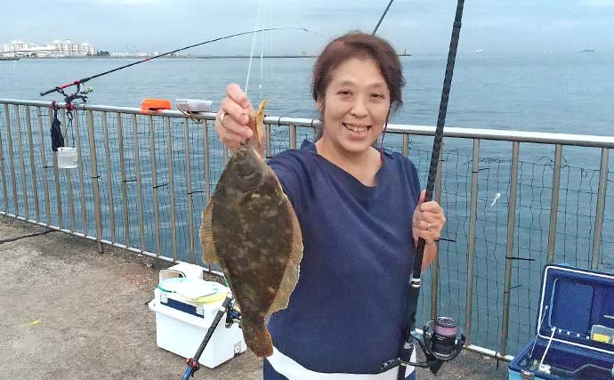 うみかぜ公園でタチウオにアジにマコガレイの釣果確認【横須賀】釣り方は色々