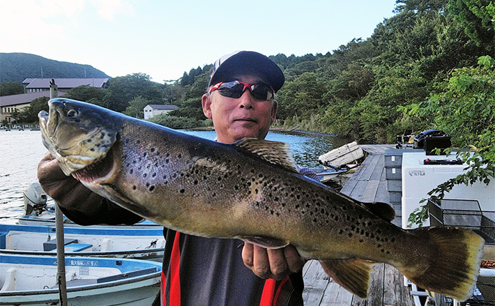 魚 剥製 ブラウントラウト ❗芦ノ湖 魚 剥製 ブラウントラウト ❗芦ノ湖