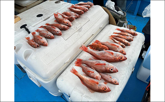 富山湾アカムツ釣りで1kg超え頭に本命11匹【秦誠丸】後半1時間は入れ食いに