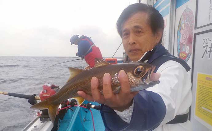 東京湾口でのクロムツ釣りで本命2ケタ釣果と絶好調　ダブルヒットも多数
