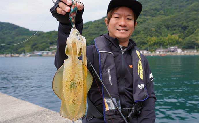 晩秋の陸っぱりエギング徹底解説 【釣り場選び・おすすめエギ・釣り方】