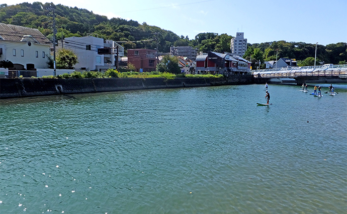 湘南〜三浦半島のハゼ釣りポイント6ヶ所をランガン調査　本格シーズンはまだ先？