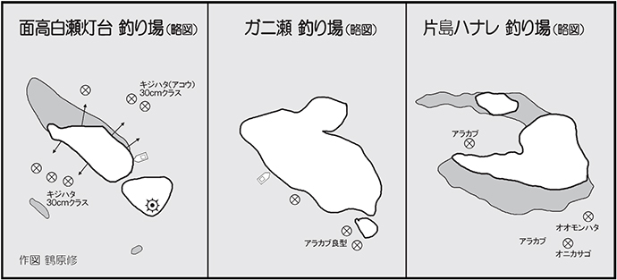 沖磯でのルアーロックフィッシュ釣行で30cm級キジハタが連発【長崎】