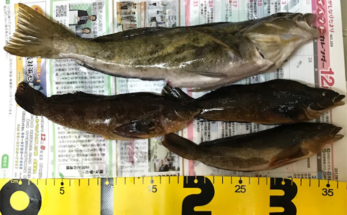 陸っぱりルアー釣りの秋冬ハイシーズンは残り2ヶ月　大阪湾なら何を釣っておくべき？