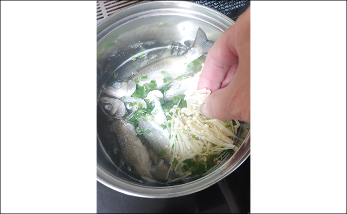 釣り魚で作る「簡単」レシピ：ヒラセイゴのマース煮風　丸ごと調理でOK