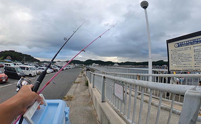 豊浜釣り桟橋でのルアー釣りでタチウオ連打【愛知】サビキではアジ大漁