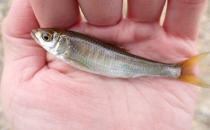 478024ff49643e28f5a6989232c5df