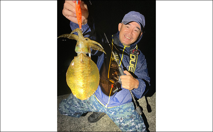 伊豆エリアのエギングで秋アオリイカ連続キャッチ　夜釣りは手感度が大事