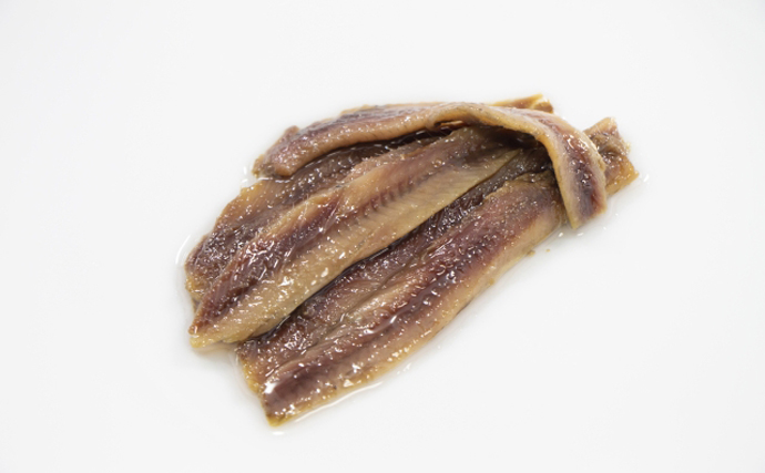 イタリア料理に欠かせない『アンチョビ』　実は魚の名前でもあるって知ってた？