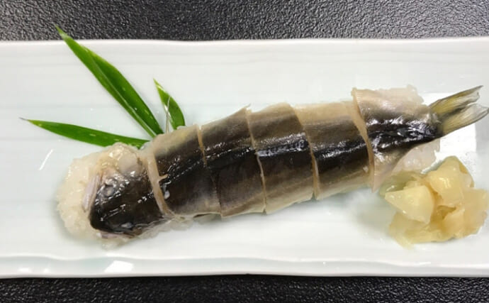 サカナを丸々１匹寿司にした「姿寿司」は西日本の秋祭りでよく食される伝統食