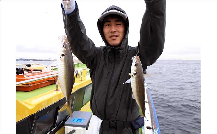 東京湾の午前LTアジ船で30cm頭に釣る人75尾【荒川屋】潮動くと入れ食いに