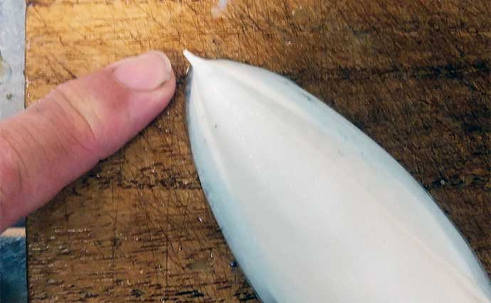 釣ったイカで作る「裏技」レシピ：モンゴウイカの霜降り　洗わず冷凍がキモ