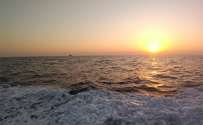 志摩沖トンボジギング釣行で25kg級のビンチョウマグロ浮上【三重・長栄丸】