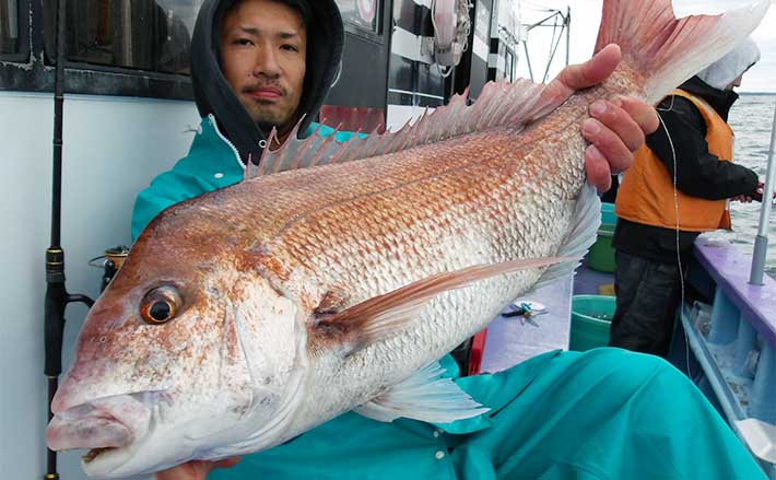 常磐沖のタイラバ＆テンヤ釣りでマダイ20尾オーバー【茨城