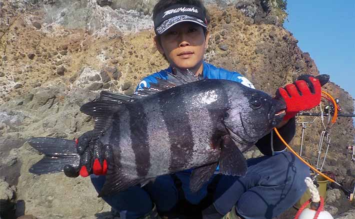 地磯の石物釣りで4kg超イシダイ浮上【静岡・川奈】サザエとヤドカリの