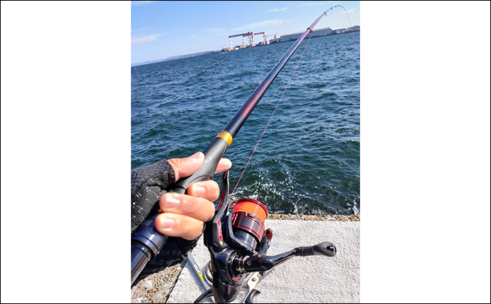 八景島対岸でのウキ釣りで40cm級クロダイ【神奈川】本命のメジナは不発
