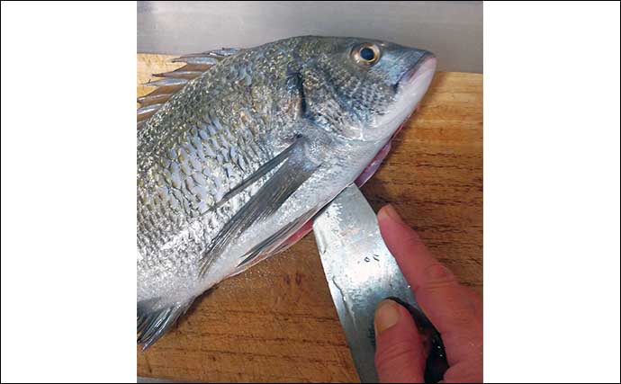 釣魚で作る「簡単」レシピ：メイタの丸干し　冷蔵庫で一晩干せば食感アップ