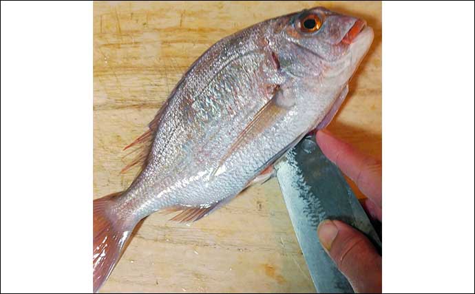 釣り魚で作る「からだ温か」レシピ：タイの寄せ鍋風　丸ごと調理がキモ