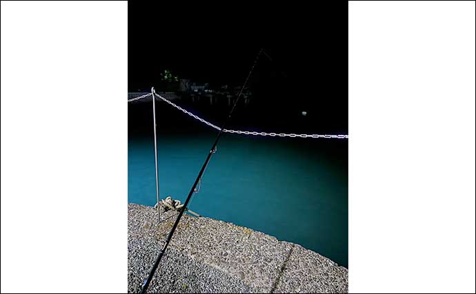 夜の陸っぱり泳がせ釣りで80cm級頭に大型ヒラメ2尾【熊本】アジングは入れ食い