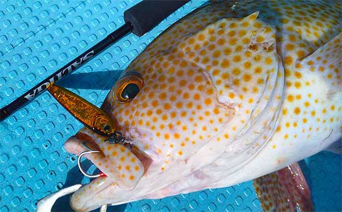 佐世保沖のジギング釣行でヒラマサにブリ【fisher526】オオモンハタは入れ食い