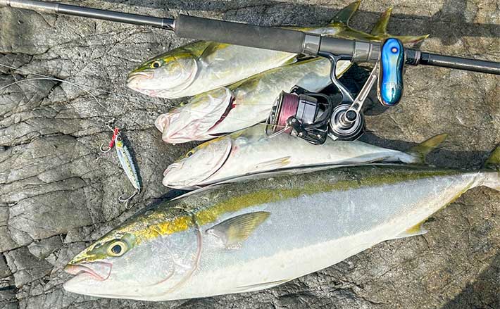 地磯でのショアジギング釣行で70cm超えワラサをキャッチ【三重