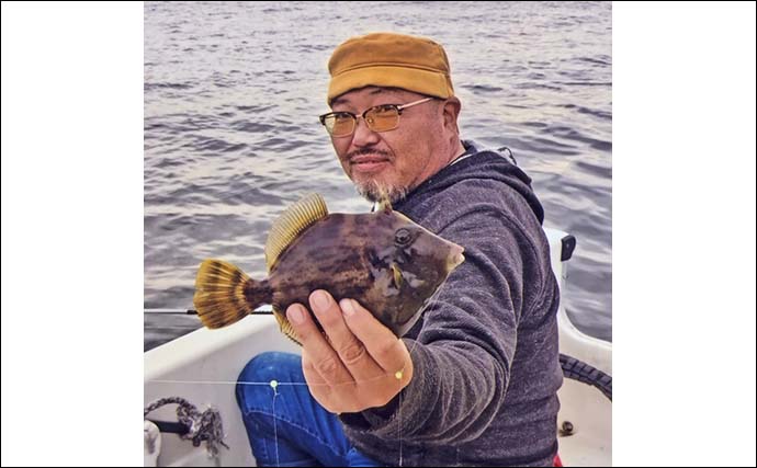 ボートカワハギ釣りで20cm頭に17匹【愛知】8mの浅場で入れ食いに