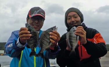 豊浜漁港でのダンゴ釣りでクロダイ2匹【愛知】時合いに同行者とダブルヒット
