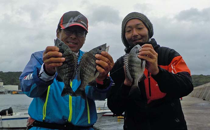 豊浜漁港でのダンゴ釣りでクロダイ2匹【愛知】時合いに同行者とダブルヒット