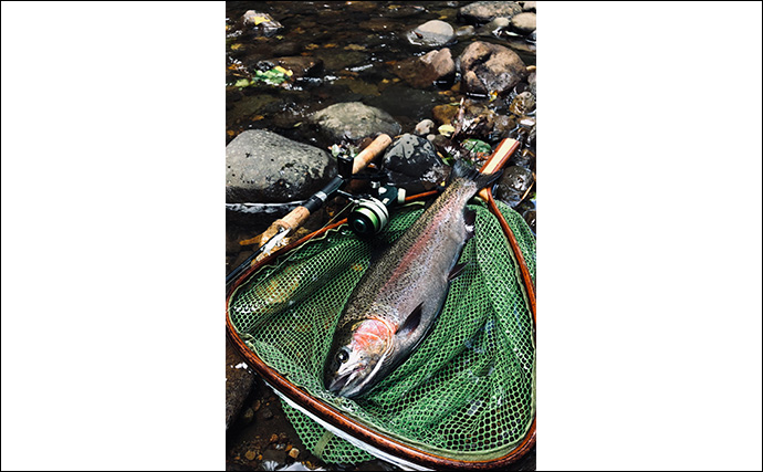 秋の北海道で3日間の渓流ルアー釣行を堪能　45cm筆頭に良型ニジマスと対面