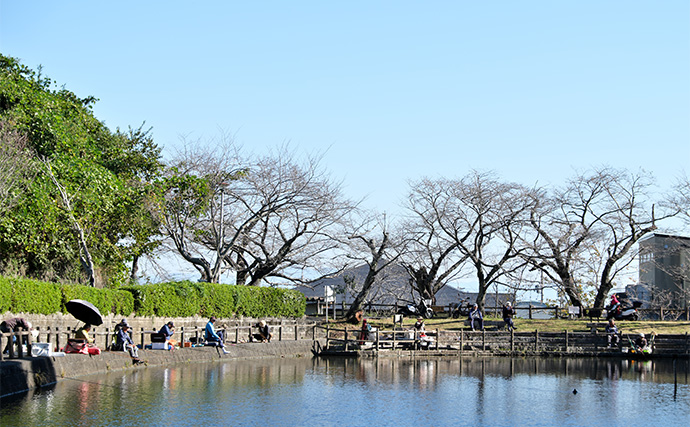 今週のヘラブナ推薦釣り場2023【静岡県・船越堤の婦池】