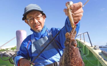 シャコテンヤで狙う東京湾スミイカ釣りで600g頭に釣る人6尾【新明丸】