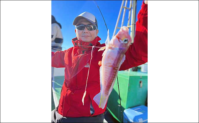 相模湾アマダイ釣りで41cm頭に本命好捕【坂口丸】40cmショートハリス仕掛けで挑戦