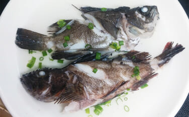 釣った魚で作る「シンプルだけど絶品」レシピ：メバル＆アラカブの塩煮