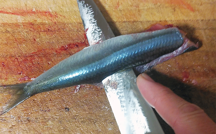 釣った青魚で作る「ウルメイワシの蒲焼き風」レシピ　煮詰め＆香草がポイント