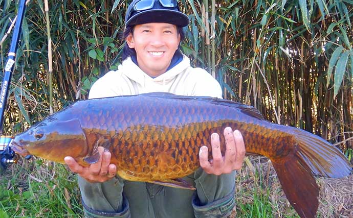 パンエサでのコイ釣りで7kg超え頭に本命2桁【埼玉・黒目川】岸際狙い撃ちで連発