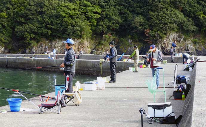 漁港でのサビキ釣りでアジ45匹【三重・奈屋浦漁港】ネンブツダイ対策がキモ