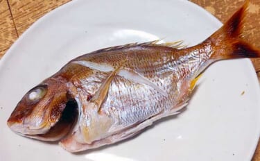 釣った小型魚で作るレシピ：小ダイの若狭焼き　優しいだしが決め手