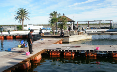 九十九里海釣りセンターは「誰でも簡単にたくさん釣れる場所」【千葉】