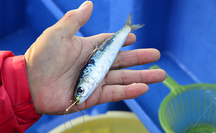 関東エリアの冬の船釣りといえばヒラメで決まり　オススメ船宿も紹介