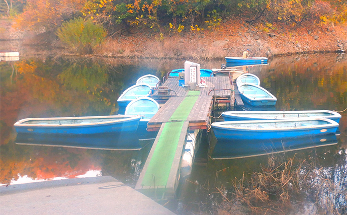 今期初の津久井湖ボートワカサギ釣りで377尾【沼本ボート】常連の情報が決め手？