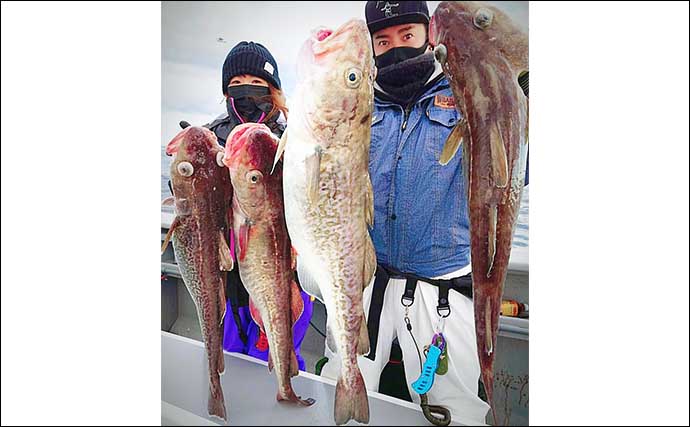 日本海のマダラ釣りで6kg頭に3尾【新潟・光海丸】激速の潮流＆サメに大苦戦