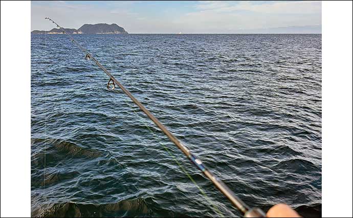 ティップラン釣行で1.1kgアオリイカ【北九州・Booth】ラインテンションがポイント
